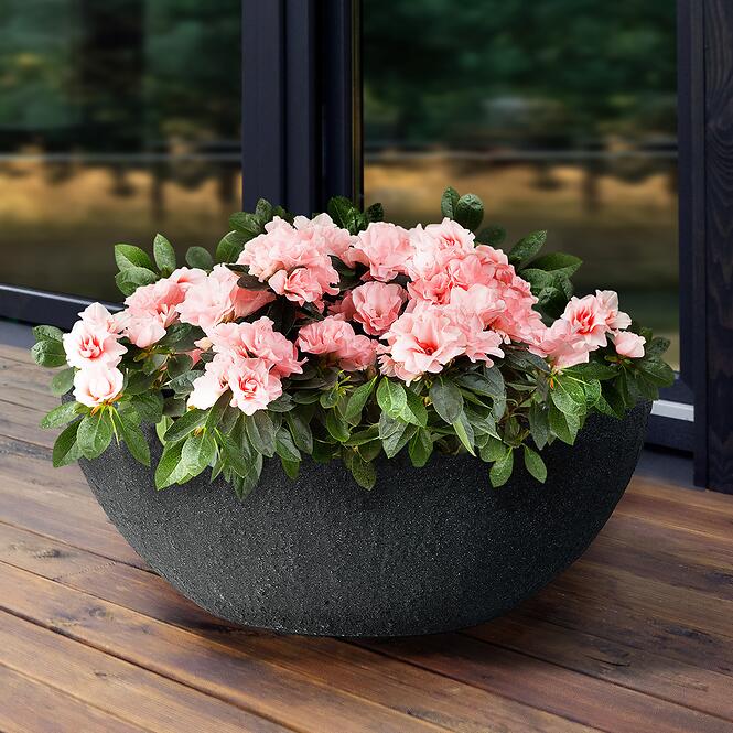Kvetináč misa Stone antracit 60x34xh23 cm,2