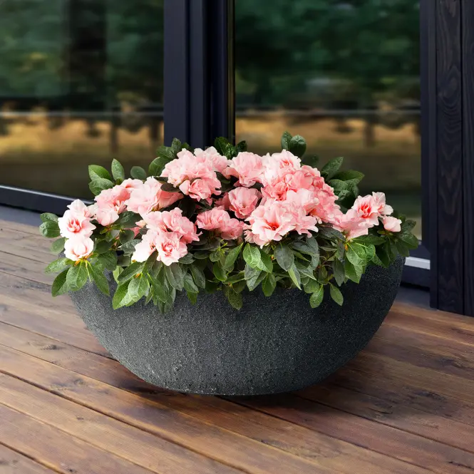 Kvetináč misa Stone steingrau 60x34xh23 cm