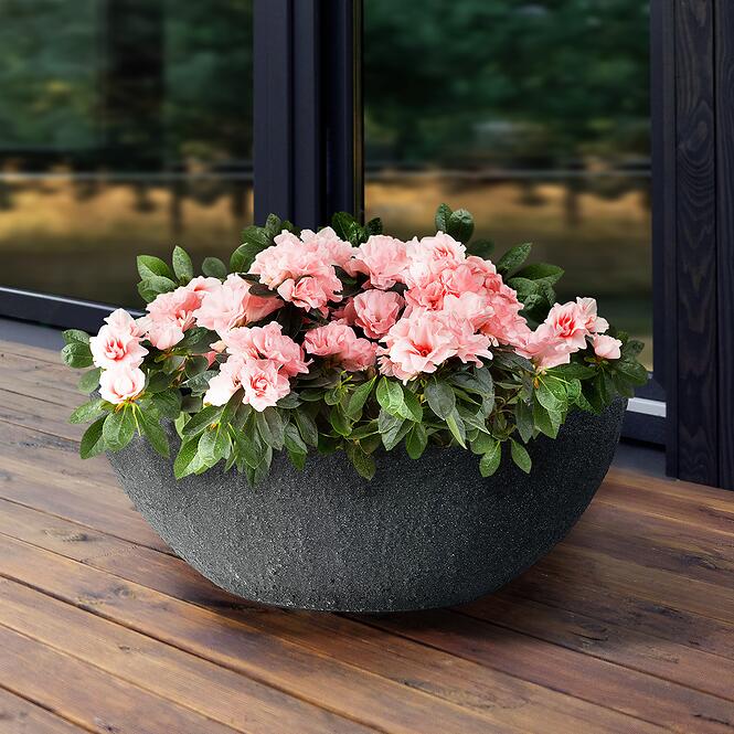 Kvetináč misa Stone steingrau 60x34xh23 cm,2