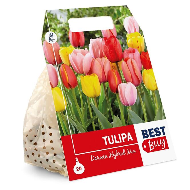 Zmes tulipánov