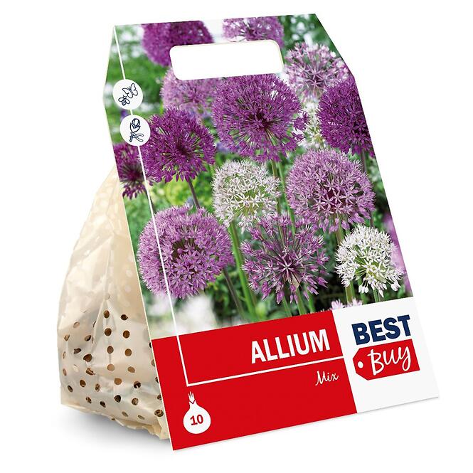 Zmes okrasných cesnakov (Allium)