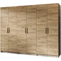 Skriňa X3 Gold 2d Dub Sonoma/Dub Craft Zlatý