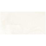 Precious Ivory Poler 60x120 Rect. Pei 3