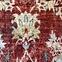 Koberec Elena Cashmere Rug 1,6/2,3 Rs2566pt-2,4