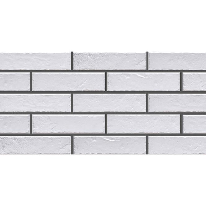 FOGGIA BIANCO 245/65/8
