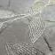 Koberec Creation 1,6/2,3 50249 260 krémový,5