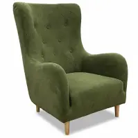 Kreslo Benetto Gerra 50 dr.oo/1 zelená
