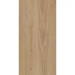 TRENIWOOD BEIGE 59.8/119.8