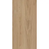 TRENIWOOD BEIGE 59.8/119.8