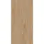 TRENIWOOD BEIGE 59.8/119.8,3