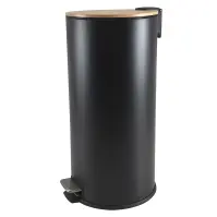 Odpadkový kôš 30 l matná čierna