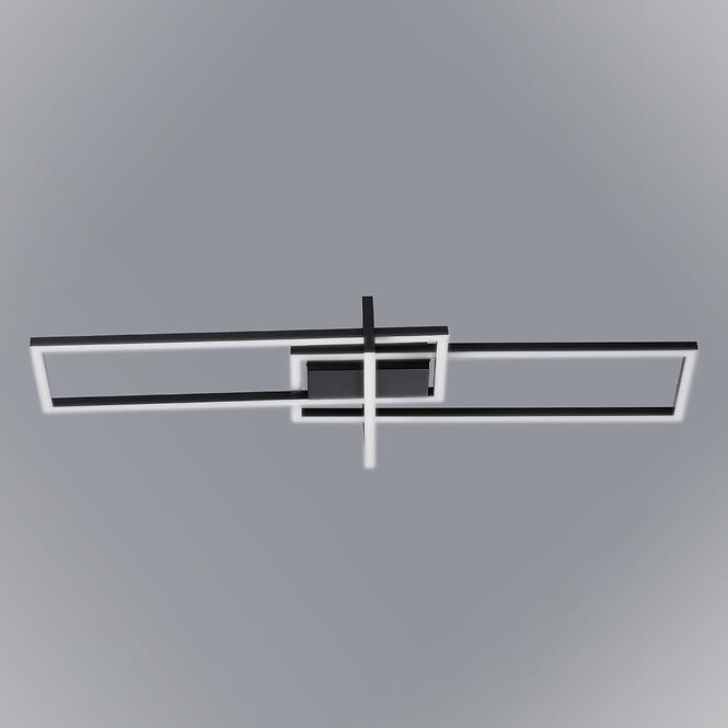 Luster Ficus AC-FIL363B LED LW3