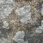Koberec Pierre Cardin Versay 1,6/2,3 Vz11d 1nt,8