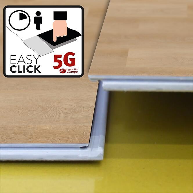 24NL PAN. WIN. SPC+IXPE 91599 DĄB RIVERTON 4V 5.3MM/0.55MM,5