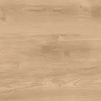Latina Beige 60/60/2