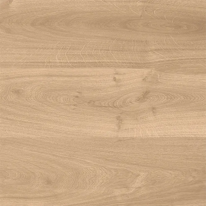 Latina Beige 60/60/2,3