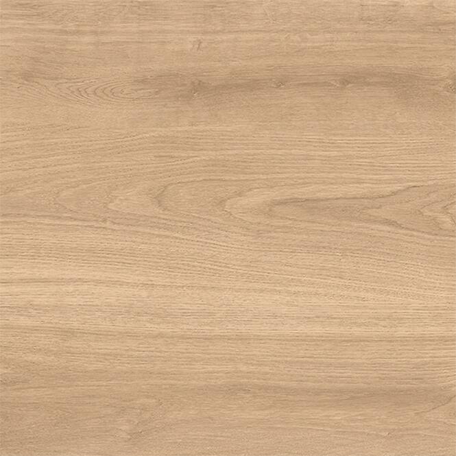 Latina Beige 60/60/2