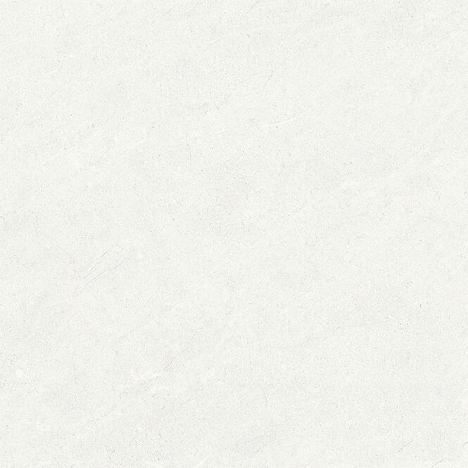 Terra Blanco 60/60,19