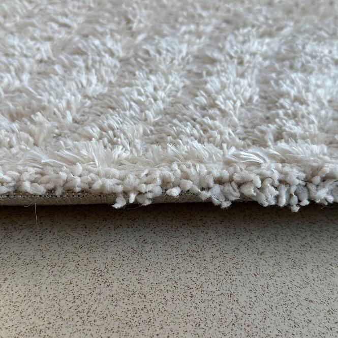 Koberec Shaggy Queen 2,0/2,8 80399 170 béžový,4