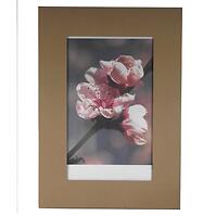 Rám s klipmi 21x29,7 cm sklo