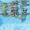 Plavecké okuliare Swim Gear,12