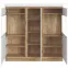 Witryna Nízka 3d Calabria Corv104 D118/U008 Dub Coast Evoke / Biela ​​Alpská,3