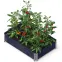 Vyvýšený záhon black eco 120x80x19,5 cm,3