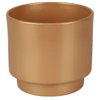 zlatá
