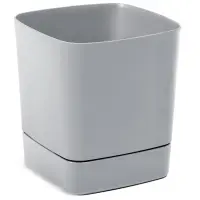 biela