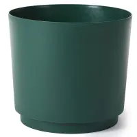 zelená