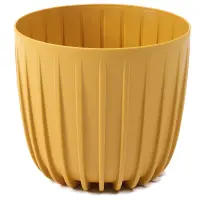 horčica