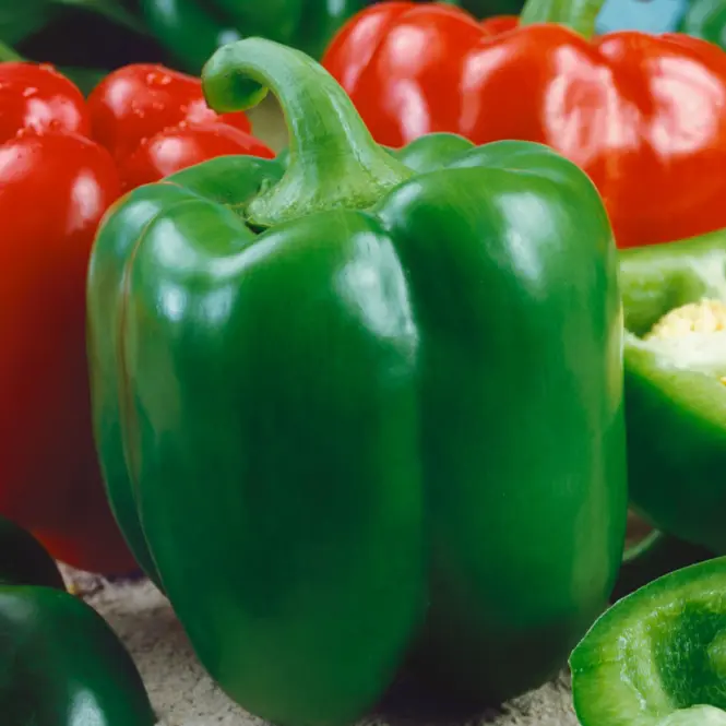 Paprika Rubinova