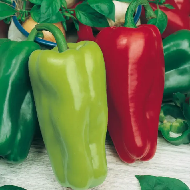 Paprika Slovakia