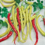 Paprika poľná, mierne štipľavá , typ kozí roh Beros