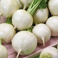 Vodnica Amelie F1