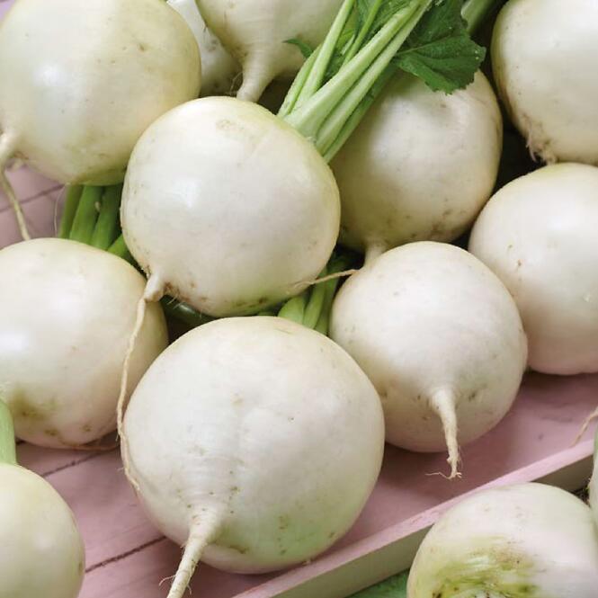 Vodnica Amelie F1