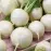 Vodnica Amelie F1