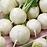 Vodnica Amelie F1