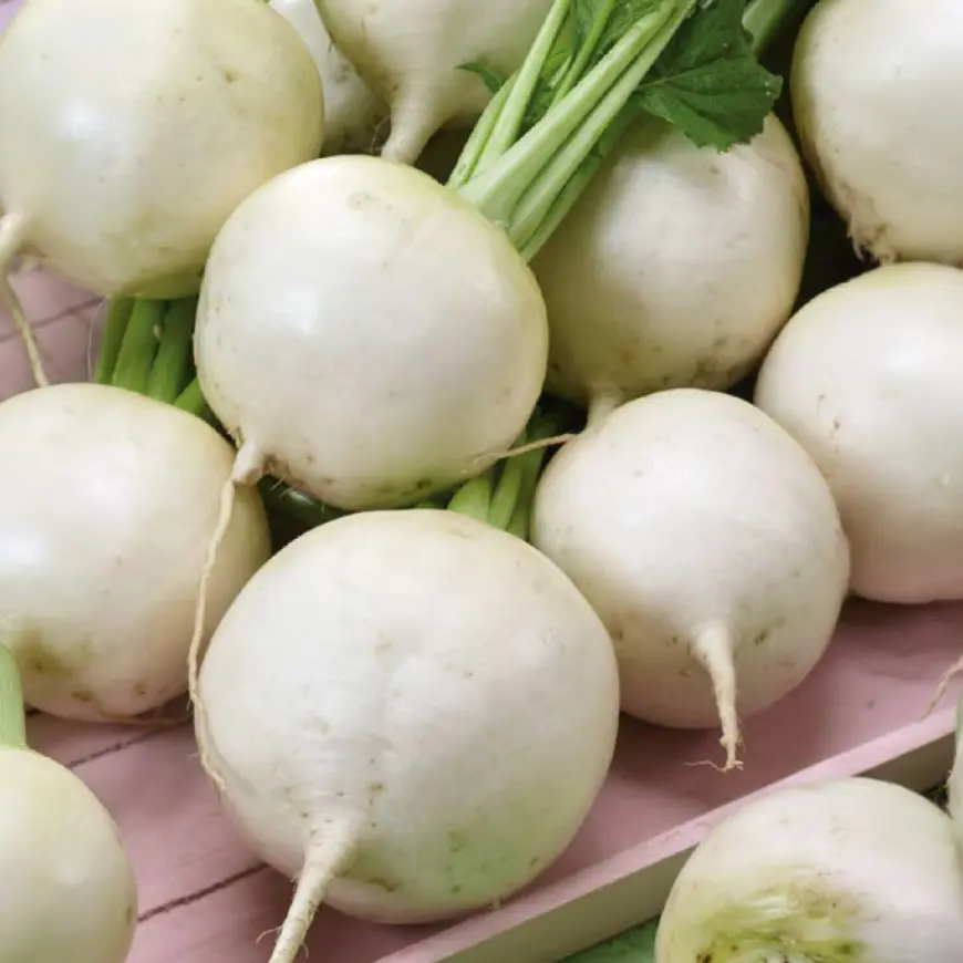 Vodnica Amelie F1