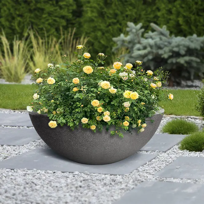 Kvetináč pre rastliny