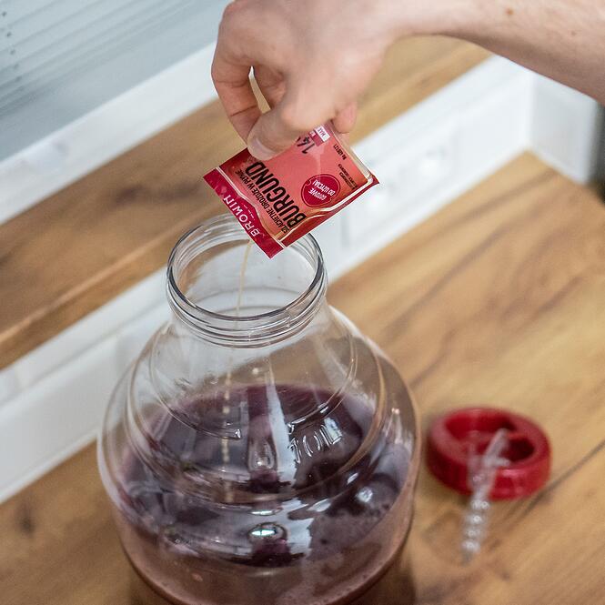 Vínne kvasnice burgund bez rozmnožovania - 20 ml