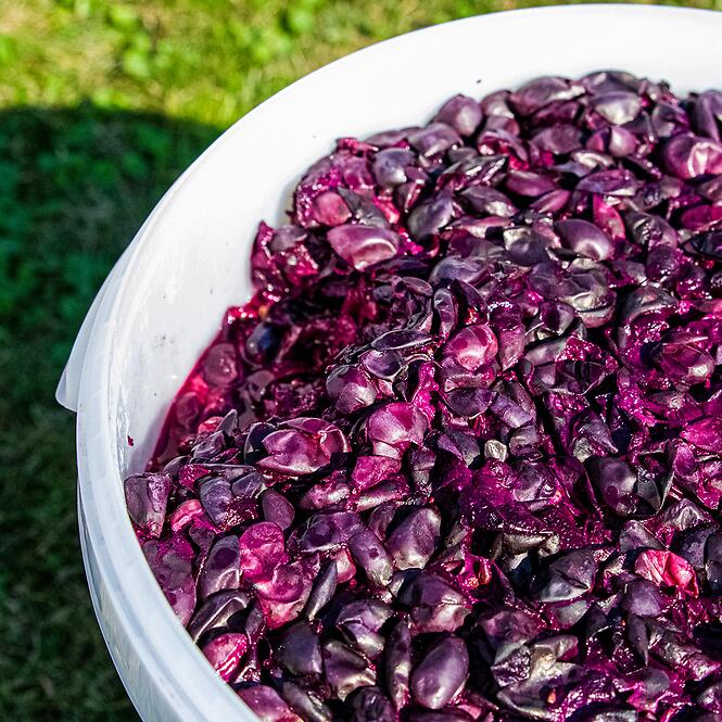 Fermentačná nádoba 30 l s potlačou, s vekom