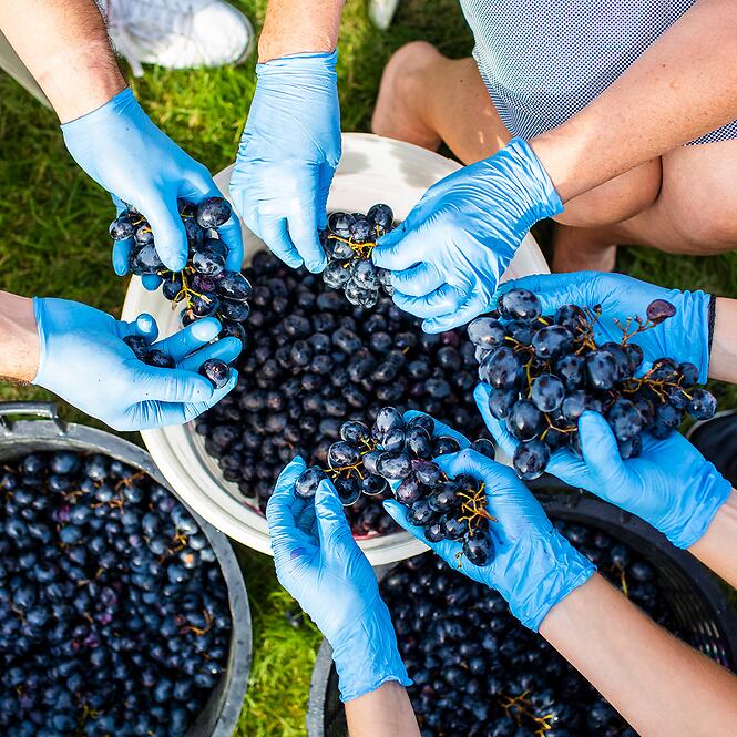 Fermentačná nádoba 30 l s potlačou, s vekom