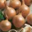 Cibuľa všetana 300g /8-21mm/ žltá