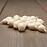 Cibuľa snowball 250/8-21mm/ biela