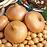 Cibuľa štutgarstká 300g /8-21mm/ žltá