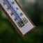 Izbový teplomer s bielou stupnicou (-30/50 °C) 20 cm,3
