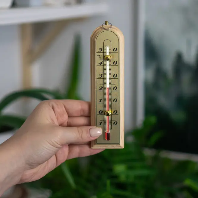 Izbový teplomer so zlatou stupnicou (-10/50 °c)16 cm