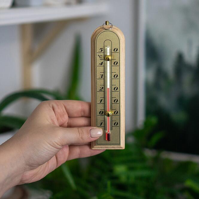 Izbový teplomer so zlatou stupnicou (-10/50 °c)16 cm