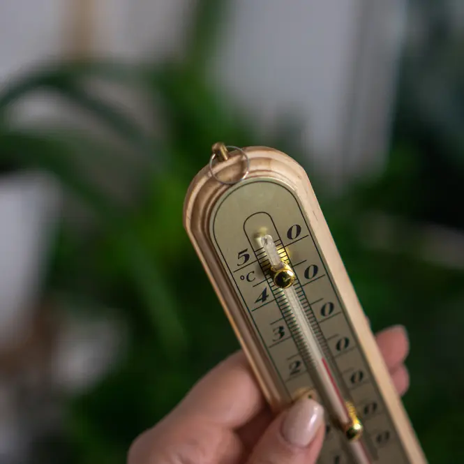 Izbový teplomer so zlatou stupnicou (-10/50 °c)16 cm,4